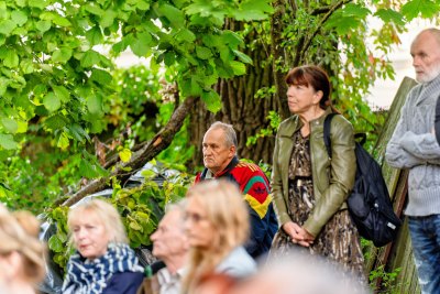 Tarptautinis festivalis „Šančiai Inn Jazz'26“, 2026 m., ruduo.